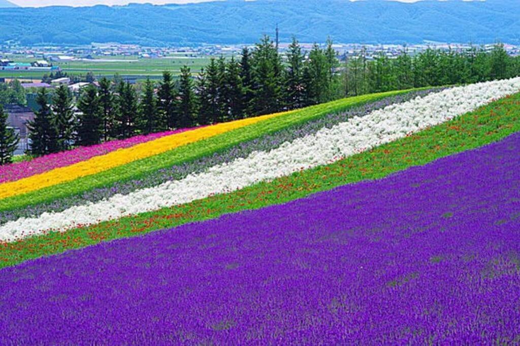 Guesthouse Chiyogaoka Asahikawa Dış mekan fotoğraf
