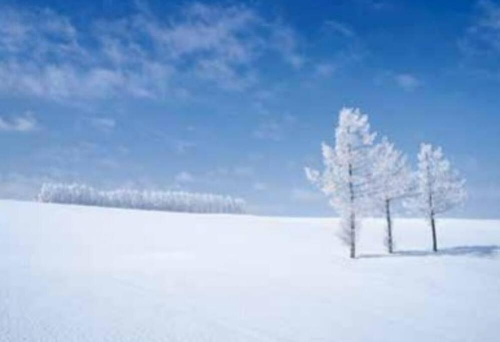 Guesthouse Chiyogaoka Asahikawa Dış mekan fotoğraf